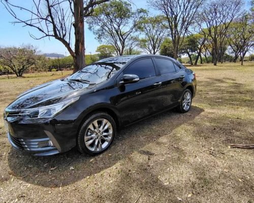 Imagem do WhatsApp de 2025-11-12 à(s) 16.51.39_6b29df61