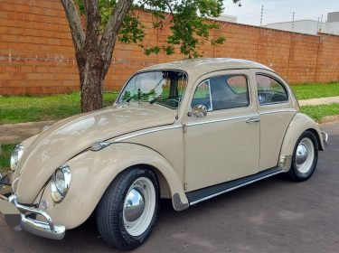 Imagem do WhatsApp de 2025-11-19 à(s) 10.02.10_4e4dcd9e