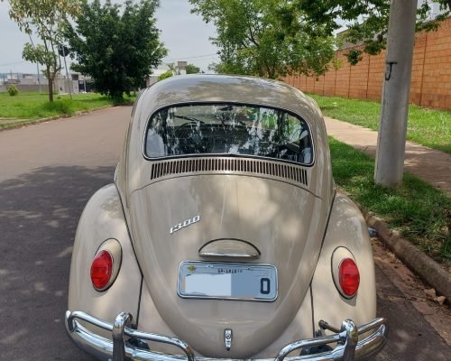 Imagem do WhatsApp de 2025-11-19 à(s) 10.02.10_deab6a40