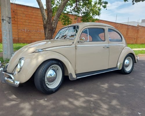 Imagem do WhatsApp de 2025-11-19 à(s) 10.02.11_229ee13c