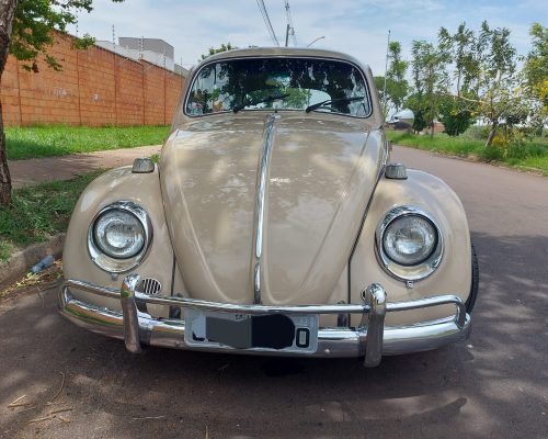 Imagem do WhatsApp de 2025-11-19 à(s) 10.02.11_a94b81a6