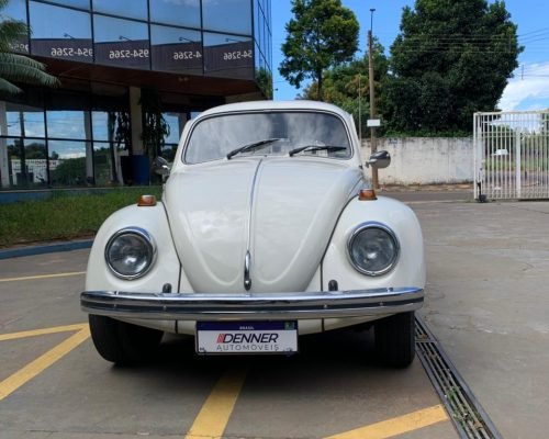 WhatsApp Image 2026-01-08 at 10.36.07 (1)