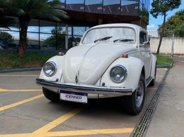 WhatsApp Image 2026-01-08 at 10.36.07