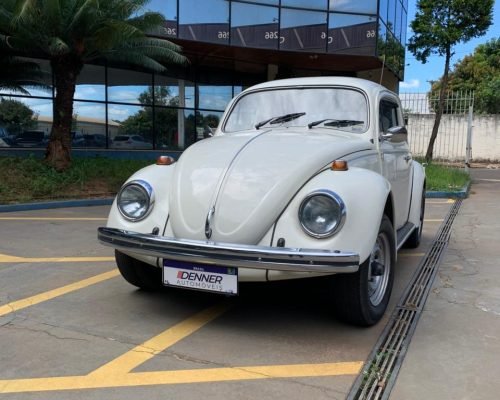 WhatsApp Image 2026-01-08 at 10.36.07