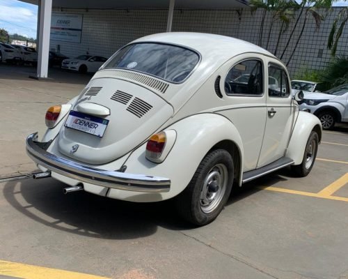 WhatsApp Image 2026-01-08 at 10.36.09 (2)