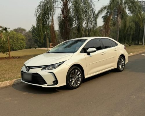 WhatsApp Image 2026-01-30 at 09.38.38